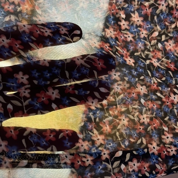 Bongo sheer, long sleeved sheer dress with black lining. Size 9 - Picture 4 of 10